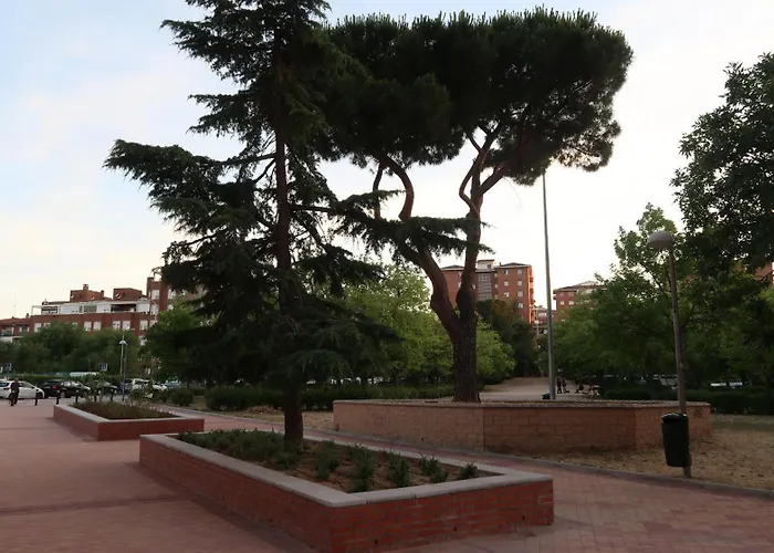 Ama Madrid Metropolitano 01